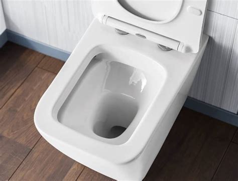 Causes Of Low Water Level In Toilet And How To Fix It The Confused