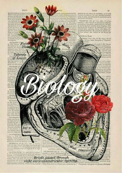 Printable Anatomy And Physiology Binder Cover Printable Word Searches