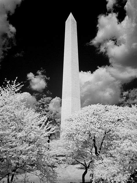 Washington Monument, Washington D.C. Original | Free Photo - rawpixel