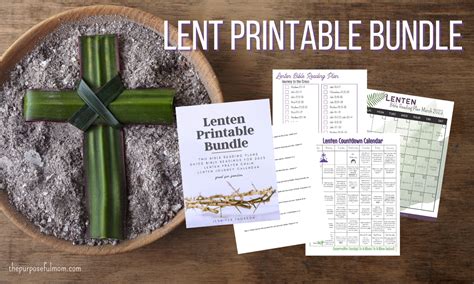 40 Day Lent Bible Reading Plan 2024 Free Printable The Purposeful Mom