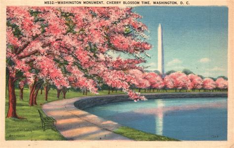 Vintage Postcard 1941 Washington Monument Cherry Blossom Time