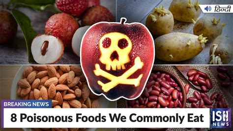 8 Poisonous Foods We Commonly Eat Ish News Youtube