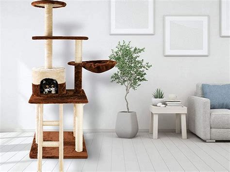 Best 6 Cheap Cat Trees For Large Cats Climbing Securely 2022