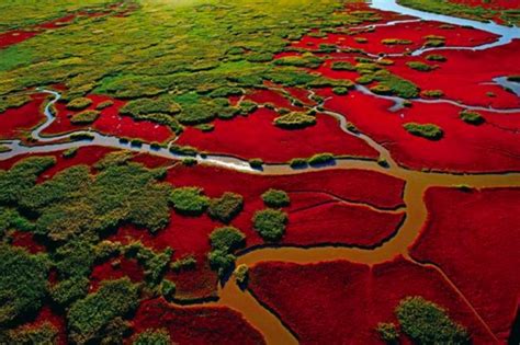 The Red Beach, China | Geology, Formation » Geologyscience