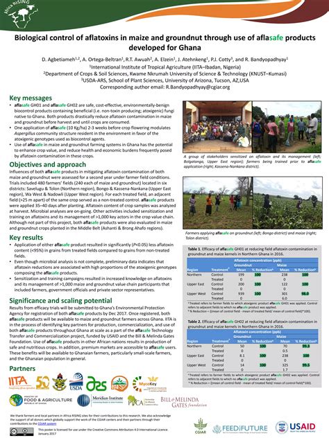 Biological Control Of Aflatoxins In Maize And Groundnut Through Use Of