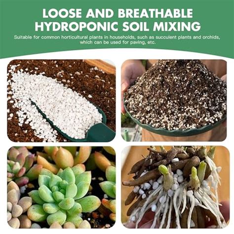 Organic Perlite for Plant Growth Enhancement - House Plants Expert