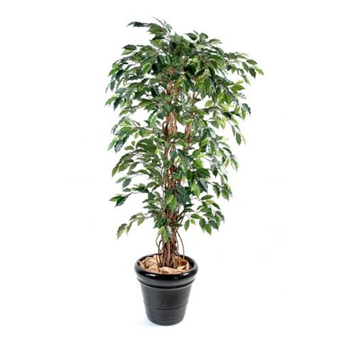 FICUS artificiel LIANES Grandes Feuilles 150 à 210 cm