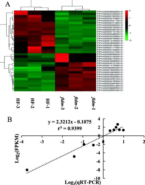 Heatmap Of Degs A And Qrt Pcr Verification Analysis Of The Rna Seq