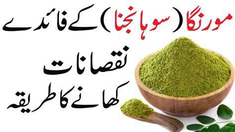 Moringa Ke Fayde Moringa Ke Theek Istemal Ka Tarika Moringa