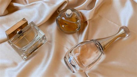 Perfumes Brand Collection, tudo o que você precisa saber