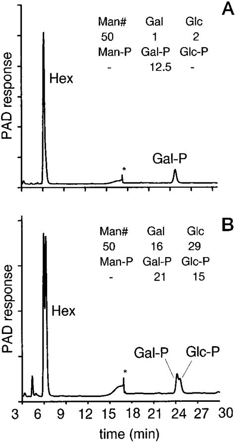 Determination Of The Hexose And Hexose Phosphate Content Of L Mexicana