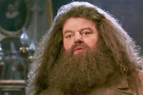 Morre Robbie Coltrane O Hagrid De Harry Potter Aos Anos