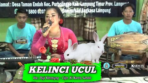 Kelinci Ucul Ki Narto Sabdo Voc Puji Klentyng Karista Audio