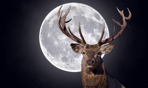 La première super lune de 2023 sera une pleine lune du cerf autour du