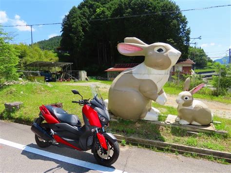 山田うどんさんの投稿したツーリング情報 エッなんでこんな所に🐇ウサギがいる｜バイクのカスタムツーリング情報ならモトクル