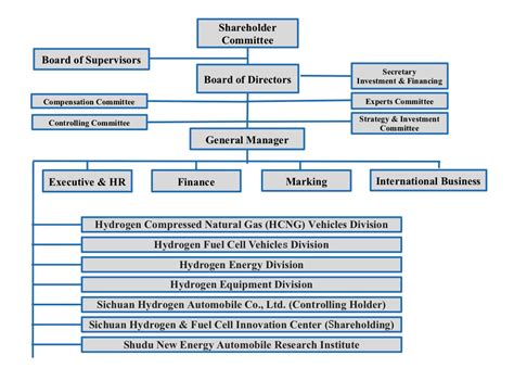 Siemens Organizational Structure