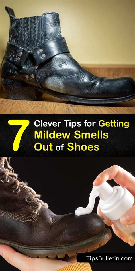 how to get smell out of shoes home reamadies