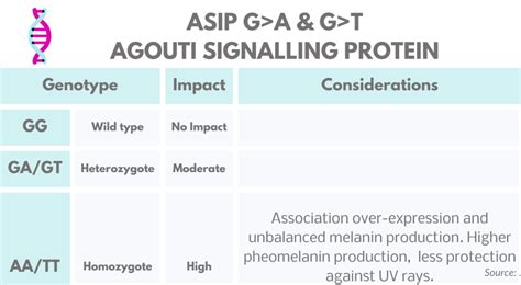 DNA Test Unlocks Skin Pigmentation Secrets Impact Of ASIP IRF4 Genes