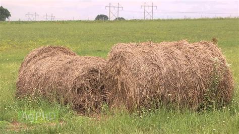 Farm Basics 851 Preserving Hay Air Date 72714 Youtube