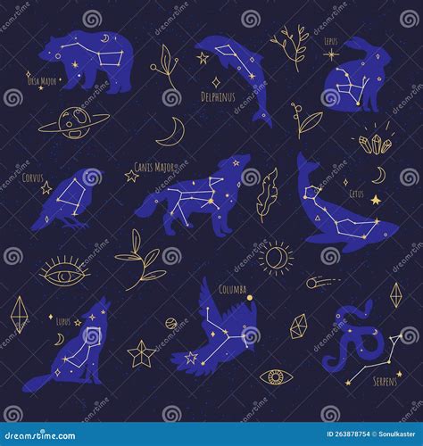 Constellations Celestial Bodies Signs at Night Sky Stock Illustration ...