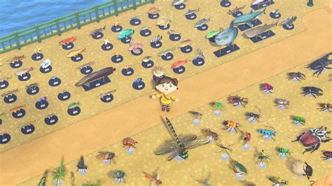 finally got all the models! :) : r/AnimalCrossing