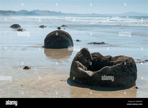 Moeraki Boulders Or Kaihinaki Hampden East Otago South Island New