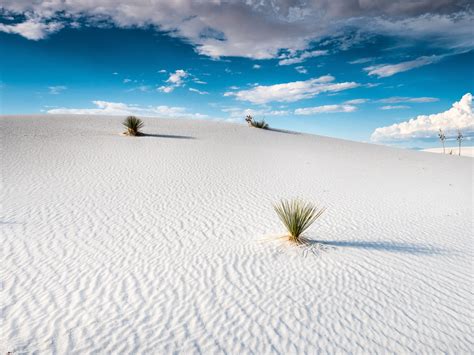 White Desert National Park Wallpapers - Wallpaper Cave