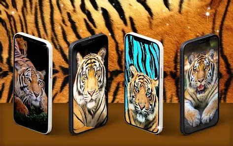 Tiger Live Wallpaper Para Android Descargar