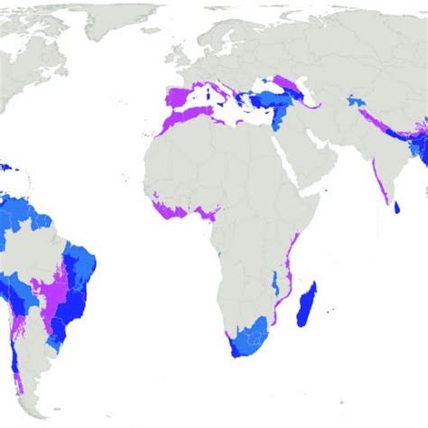 Endemic accumulation map. Colors show the numbers of endemic species as ...