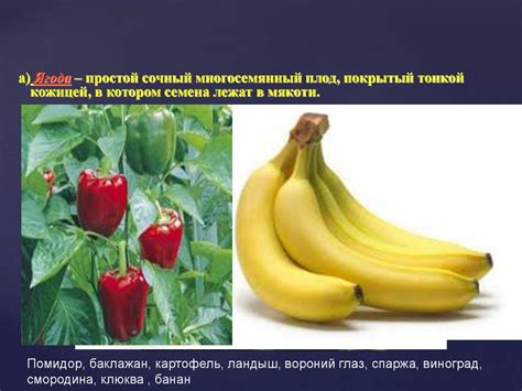 Плоды - презентация онлайн