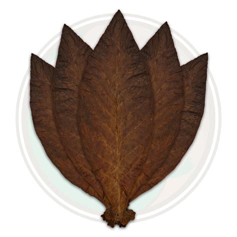 Pa Oscuro Tobacco Leaf Cigar Wrapper Cigar Wrapper Tobacco Leaves