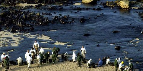 Comment les marées noires ont fait évoluer la sûreté en mer