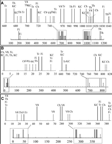 Proteolytic patterns of nonactivated PhK subunits A α B β and