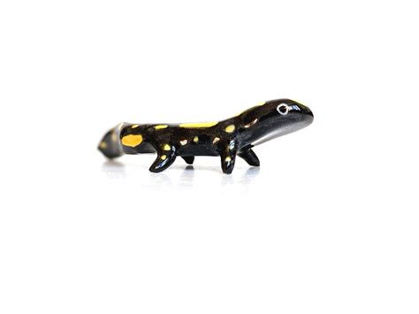 Figurine Salamandre En Porcelaine Kness