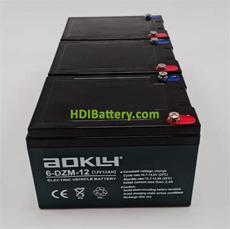 Kit 3 baterías Aokly Power AGM 6DZM12 36 Voltios 12 Amperios