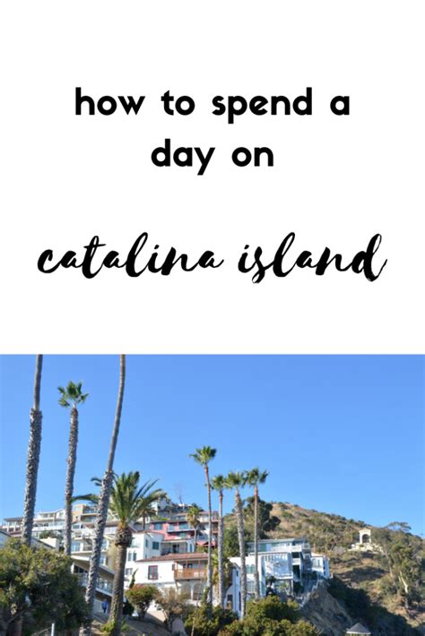 How To Spend A Day On Catalina Island Catalina Island Catalina