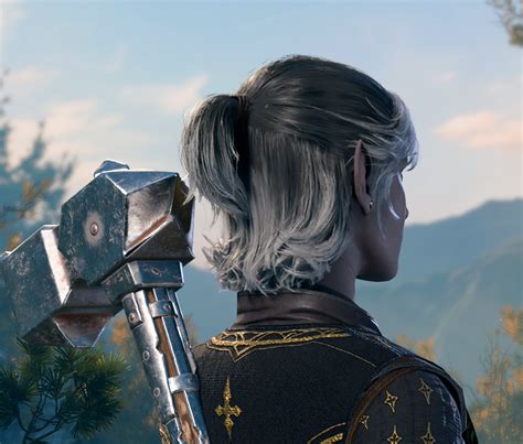 Convergent Evolution — For later reference— Miss Faeryn, my bg3 paladin!