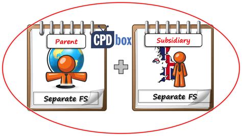 Example How To Consolidate Cpdbox Making Ifrs Easy