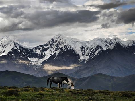 [HONOR X6] Distinguished performance from the Honor phone! : r/Honor