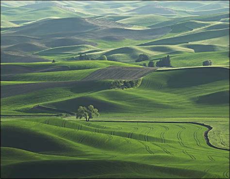 Hills Of The Palouse - Lee Mann Photography