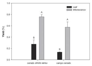 Scielo Brasil Glandular Trichome Density And Essential Oil