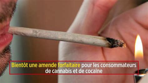 Bientôt une amende forfaitaire pour les consommateurs de cannabis et de