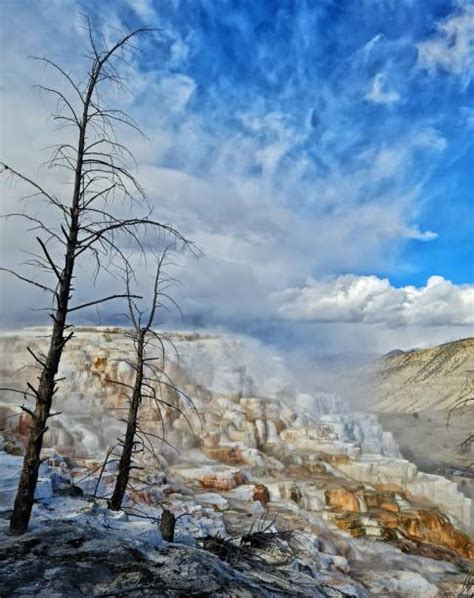 470+ Mammoth Hot Springs Winter Stock Photos, Pictures & Royalty-Free ...