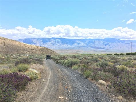 Big Pine, CA - more rain than I have ever seen, now everything is in