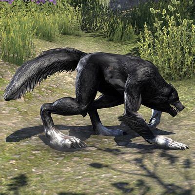 Online Werewolf Howler The Unofficial Elder Scrolls Pages UESP