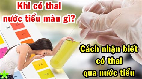 Có Thai Nước Tiểu Màu Gì Những Điều Mẹ Bầu Cần Biết Để An Tâm