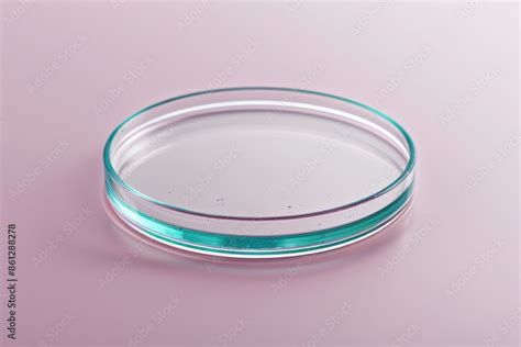 Empty Petri Dish For Growing Cultures Of Microorganisms Fungi And