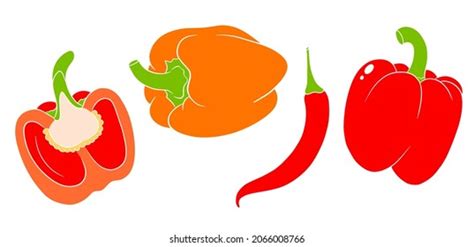 Set Whole Half Quarter Slices Rocoto Stock Vector Royalty Free