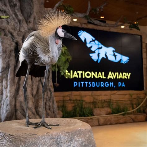 National Aviary — DOORS OPEN Pittsburgh