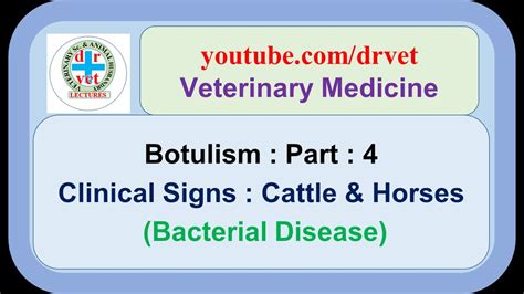 Botulism Part 4 Clinical Signs Cattle And Horse Youtube